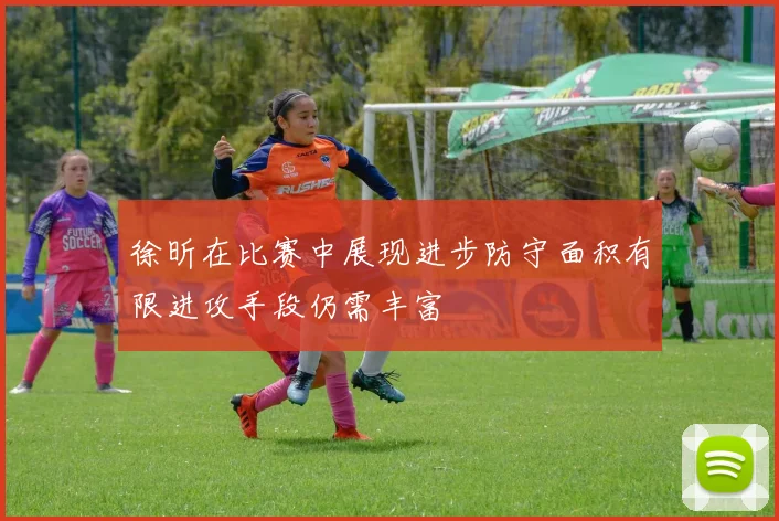 徐昕在比赛中展现进步防守面积有限进攻手段仍需丰富