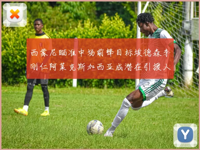 西蒙尼瞄准中场前锋目标埃德森李刚仁阿莱克斯加西亚成潜在引援人选